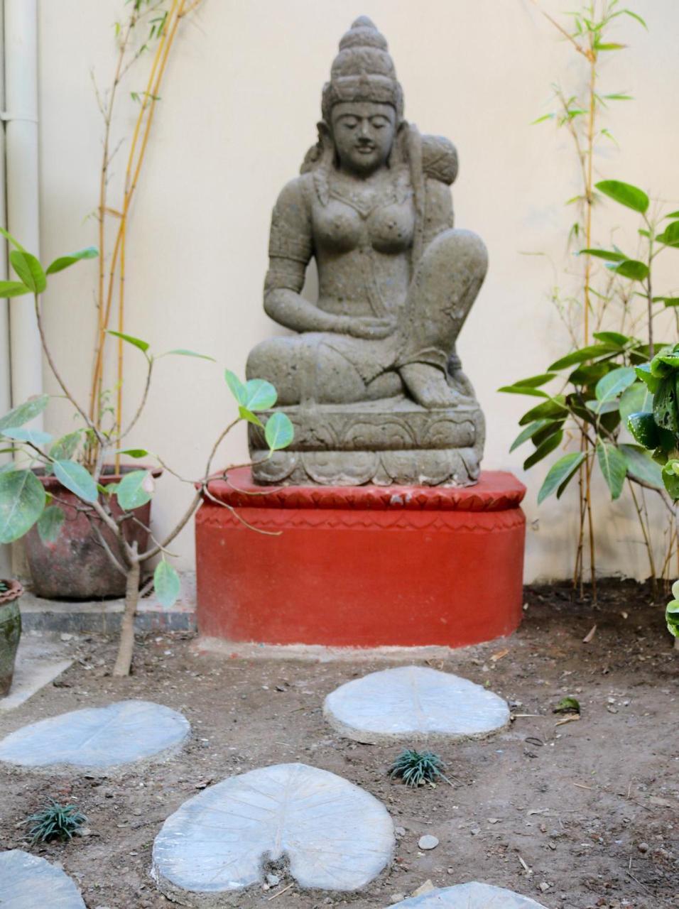 Mango Tree Courtyard Dehradun Hotel Ngoại thất bức ảnh